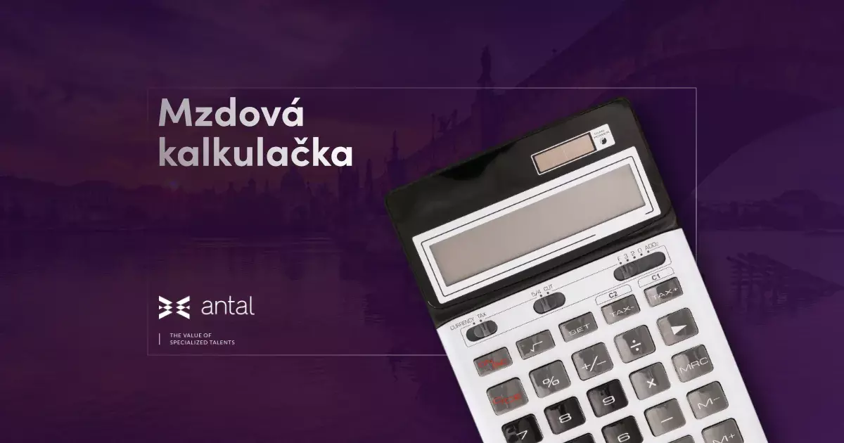 Antal mzdová kalkulačka, Antal Salary calculator