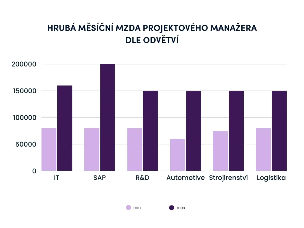 projektový manažer